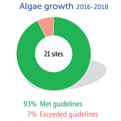 Algae growth 2016-2018
