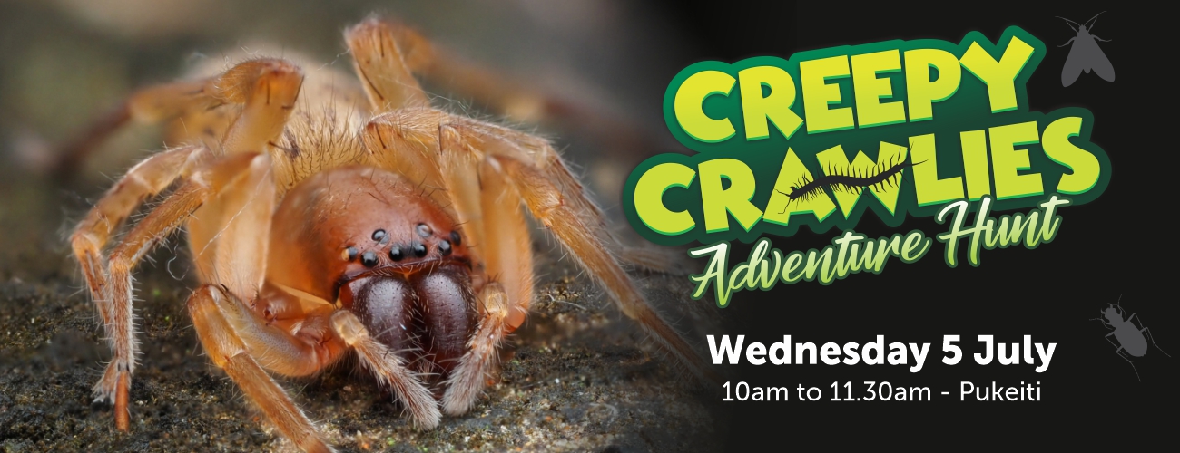 CreepyCrawlies banner