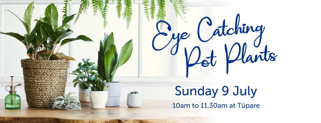 PotPlants banner