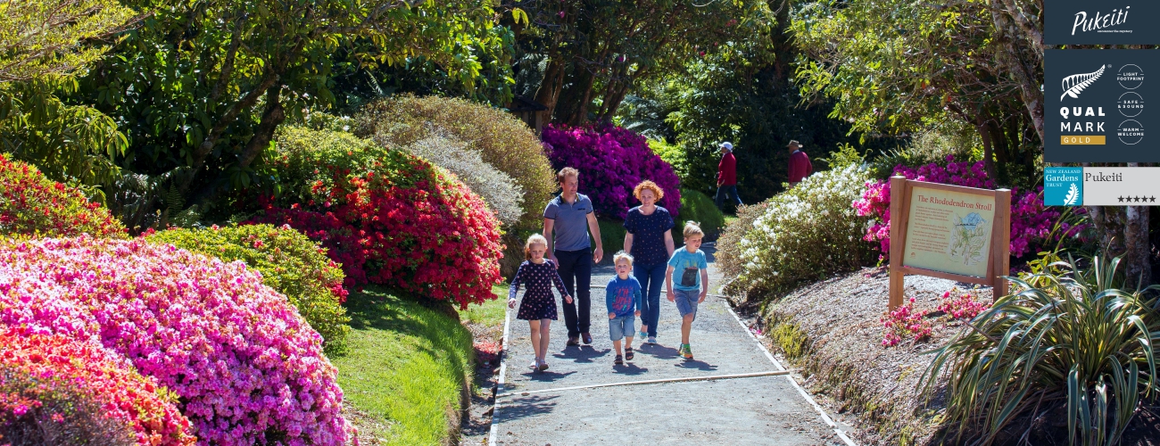 websitePukeiti1300x500