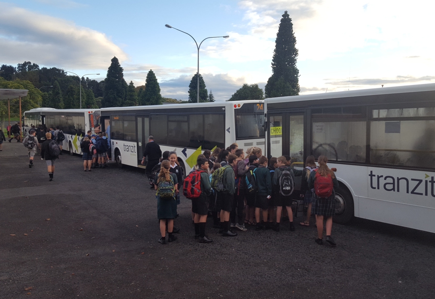 Citylink school buses