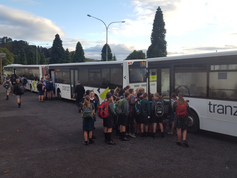 Citylink school buses