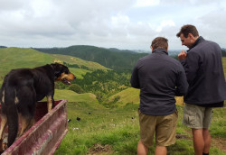 Taranaki hillcountry farm