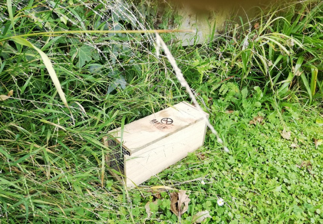 Rat trap