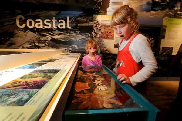 Puke Ariki's Taranaki Naturally gallery is funded by the TRC.