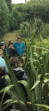 Wetlands field day. 