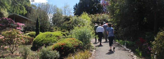 Visitors make their way along a new path to the Hollard Centre. 
