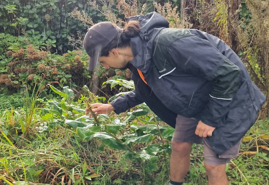 Environment Officer Gonzalo Peinado inspecting ginger