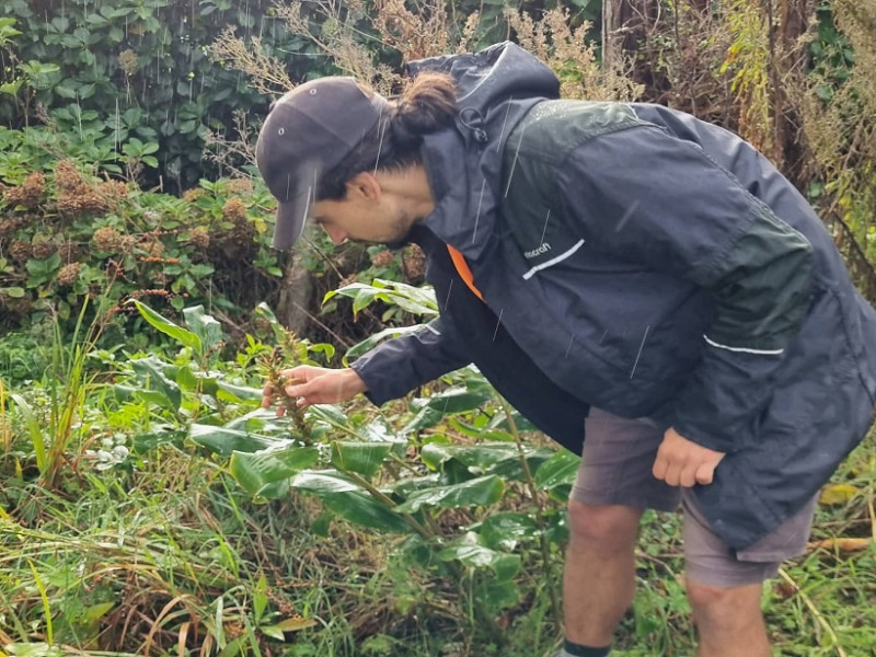 Environment Officer Gonzalo Peinado inspecting ginger