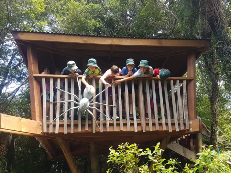 Tree house at Pukeiti