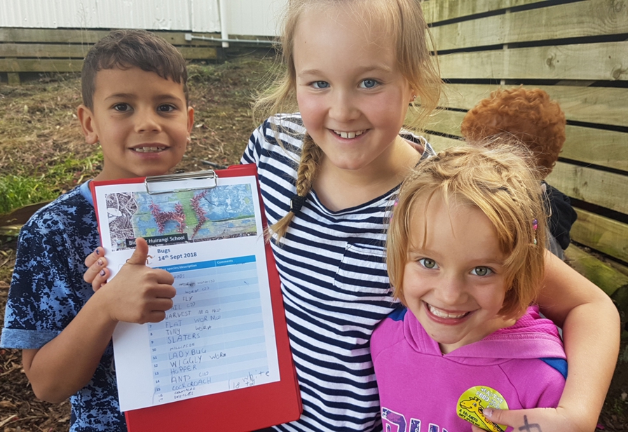 Huirangi School bioblitz