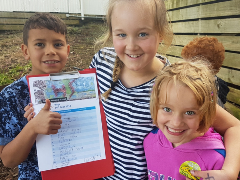 Huirangi School bioblitz