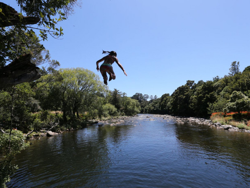 Swimming in the Waiwhakaiho - Freshwater