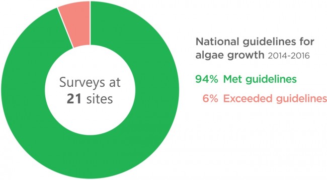 National guidelines for algae growth. 