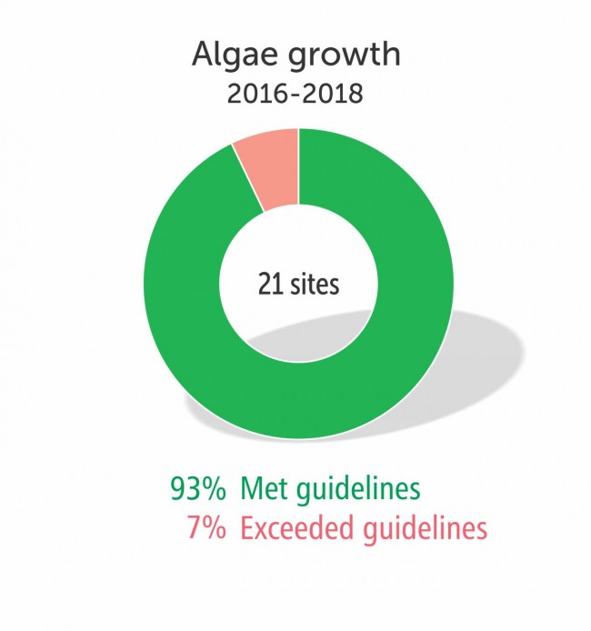 Algae growth 2016-2018