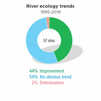 River ecology trends 1995-2019