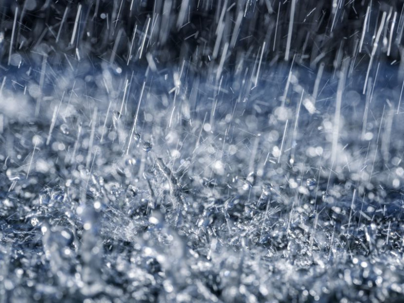 Rain in Taranaki