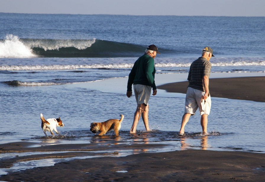 Summertime in Taranaki