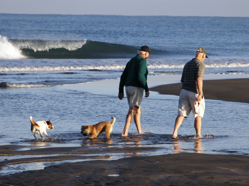 Summertime in Taranaki