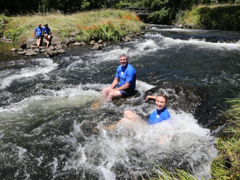 Summer in Taranaki Summer in Taranaki