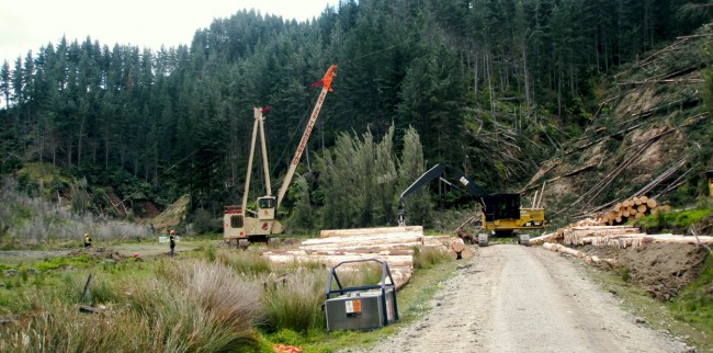 New national rules apply to plantation forest activities. 