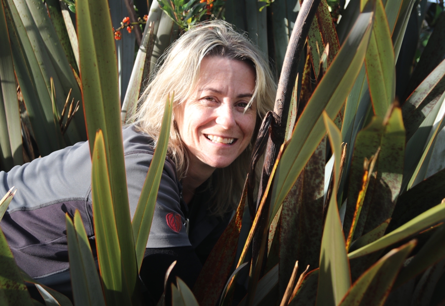 Halema Jamieson flax bush 896px