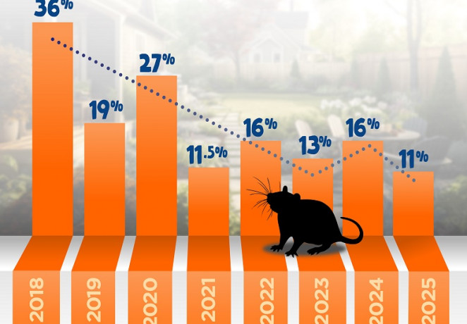 Predator Free   Rat tracking catch rates NP   2025 06 11 web