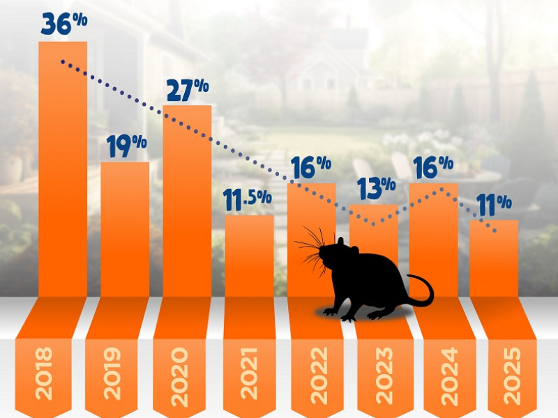 Predator Free   Rat tracking catch rates NP   2025 06 11 web