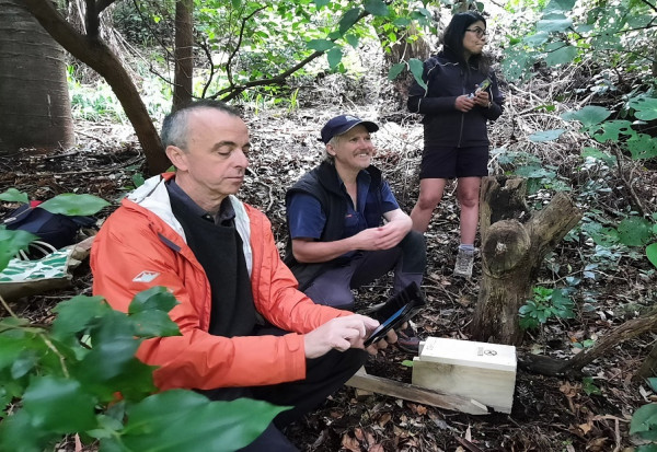 TDHB setting traps