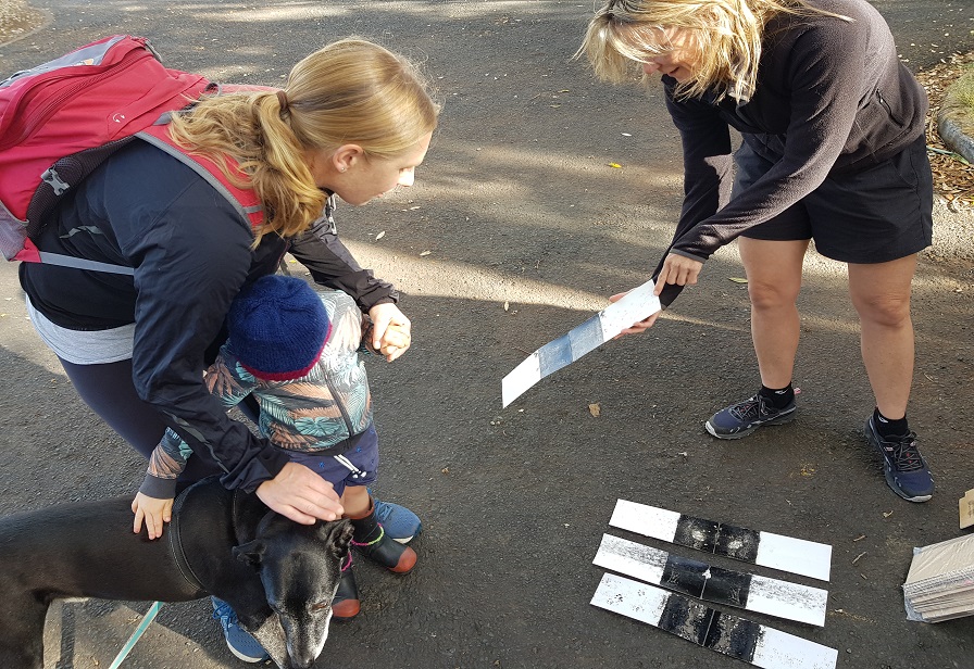rat tracking 1