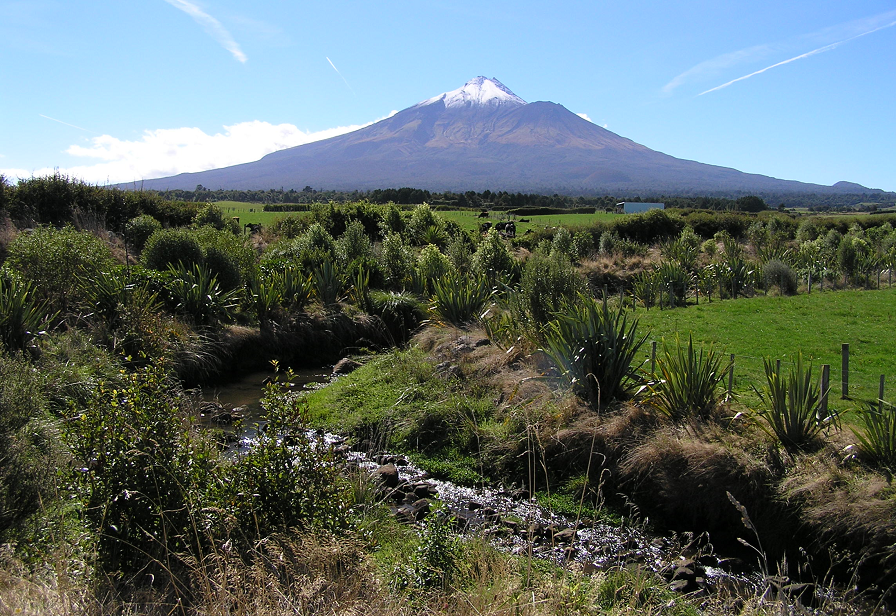 Riparian resized