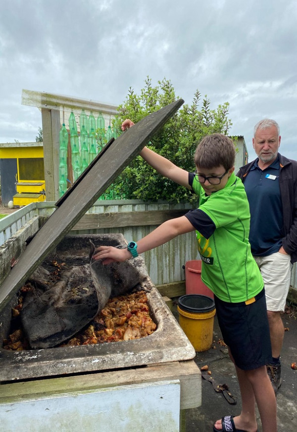 Worm farm at Toko