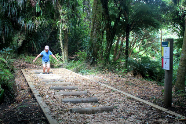 Pukeiti Fitness Trails