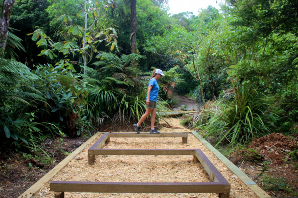 Pukeiti Fitness Trails