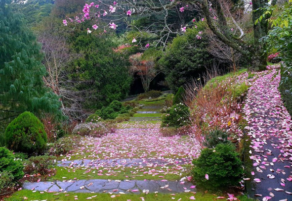 Russell Avenue at Tūpare