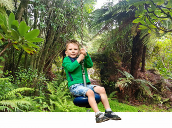 Proposed Pukeiti adventure trail