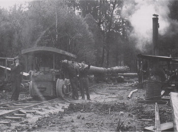 Pukeiti hauler station