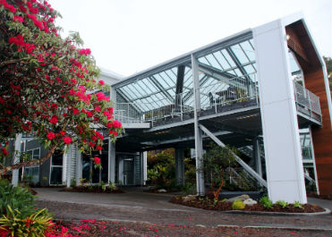 Founders cafe balcony