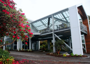 Founders cafe balcony