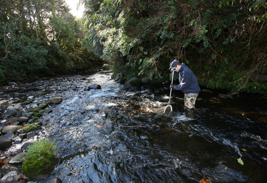 Freshwatermonitoring