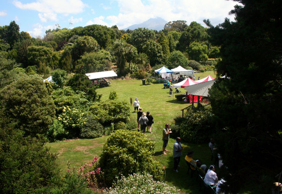 Hollards farmers market