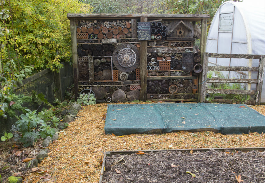 Hollard Gardens insect hotel