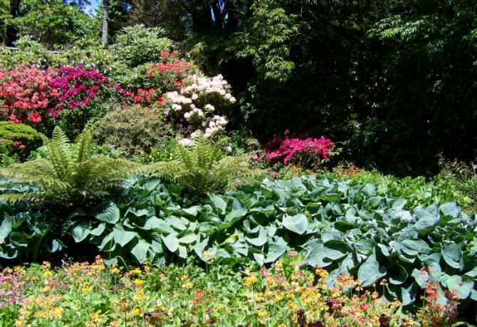 Hollard Gardens image