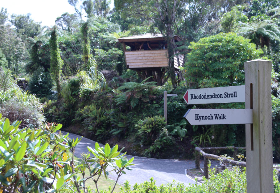 Photo of walking track signage at Pukeiti