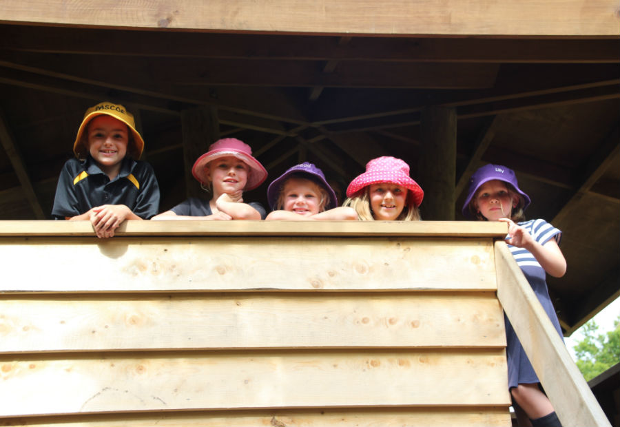 Photo of children doing the treehouse trail at Pukeiti