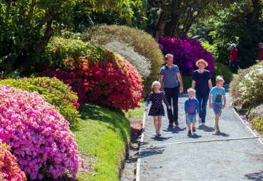 Image of a family enjoying Pukeiti