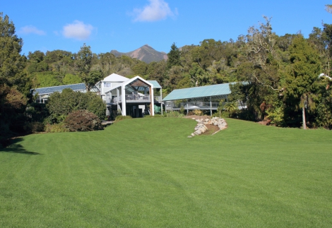 Pukeiti lawn