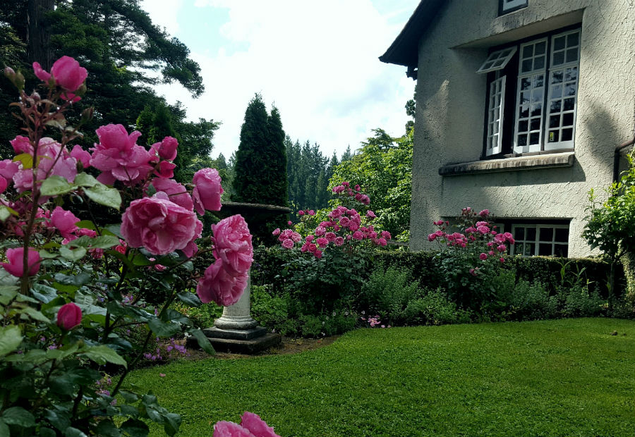 Photo of rose garden at Tūpare