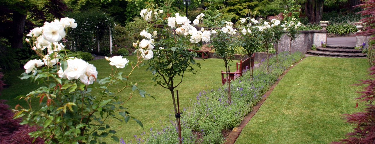 Tupare Elizabeth garden banner