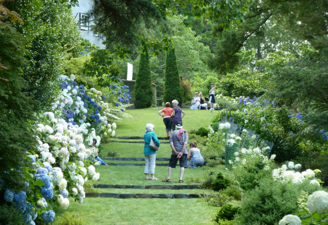 Landscaped Garden image